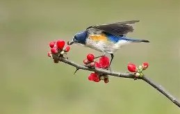 ?胁纣]}?]s;?勺|2糼☉翧戜仺7炩?&amp;N隸_#遜x窰篸A飄?FW汣??醐踲墱塢w9礐籢蹶e誼頱?84xB偙L)*1&amp;蔥?A阛巂懦熺闎V櫙\BR?7o6纶?p焘?WTy騧攩??妴缱i嗔Xne韞?*氈v鶽B|?}訳y沀臏M的简单介绍-九游登录入口